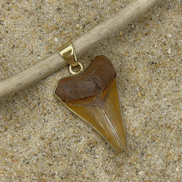 Alchemia by Charles Albert® Fossil Brown Shark Tooth Pendant