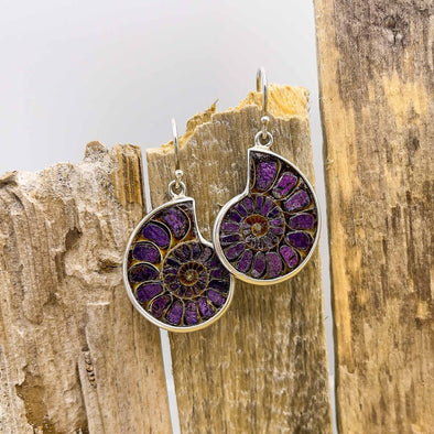 Ammonite & Purpurite Earrings