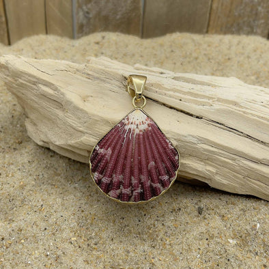 Charles Albert Alchemia Pectin Shell Pendant