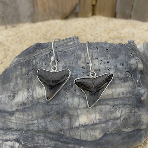 Charles Albert® Fossil Shark Tooth Earrings