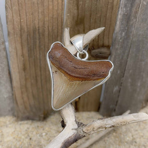 Charles Albert® Fossil Shark Tooth Pendant