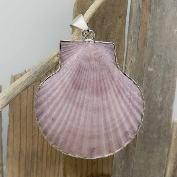 Charles Albert Lavender Shell Pendant