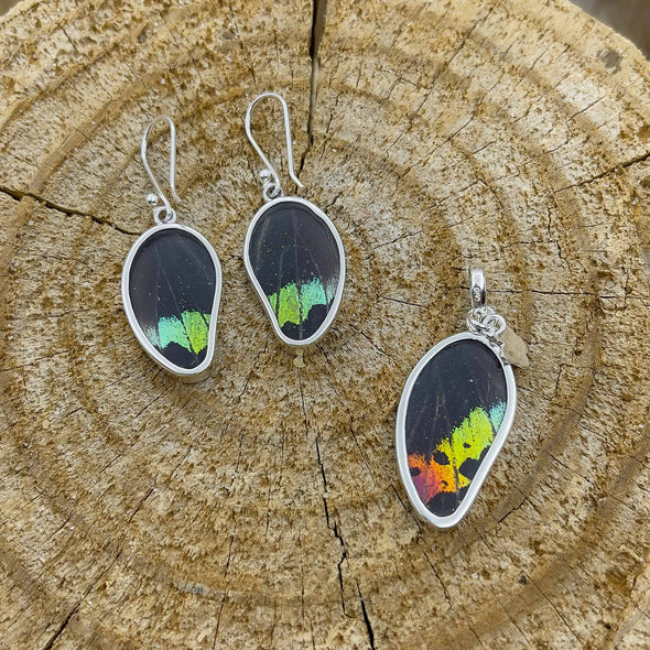 Organic Shape Butterfly Set