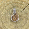 Ammonite Pendant