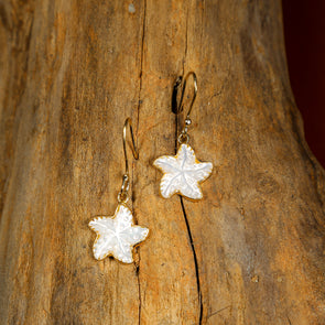 Charles Albert® Alchemia - Mother of Pearl Starfish Earrings