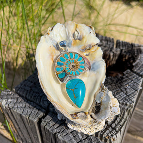Turquoise Ammonite Pendant | BT☆Sterling®