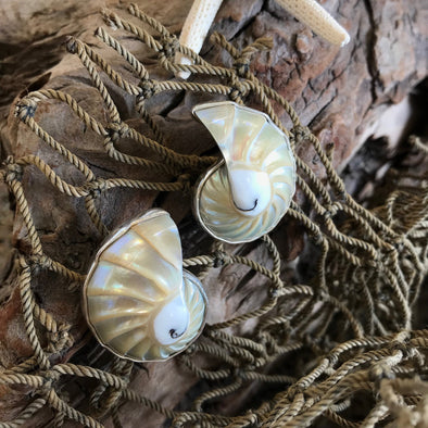 Spiral Seashell Post Earrings - BEACH TREASURES ONLINE