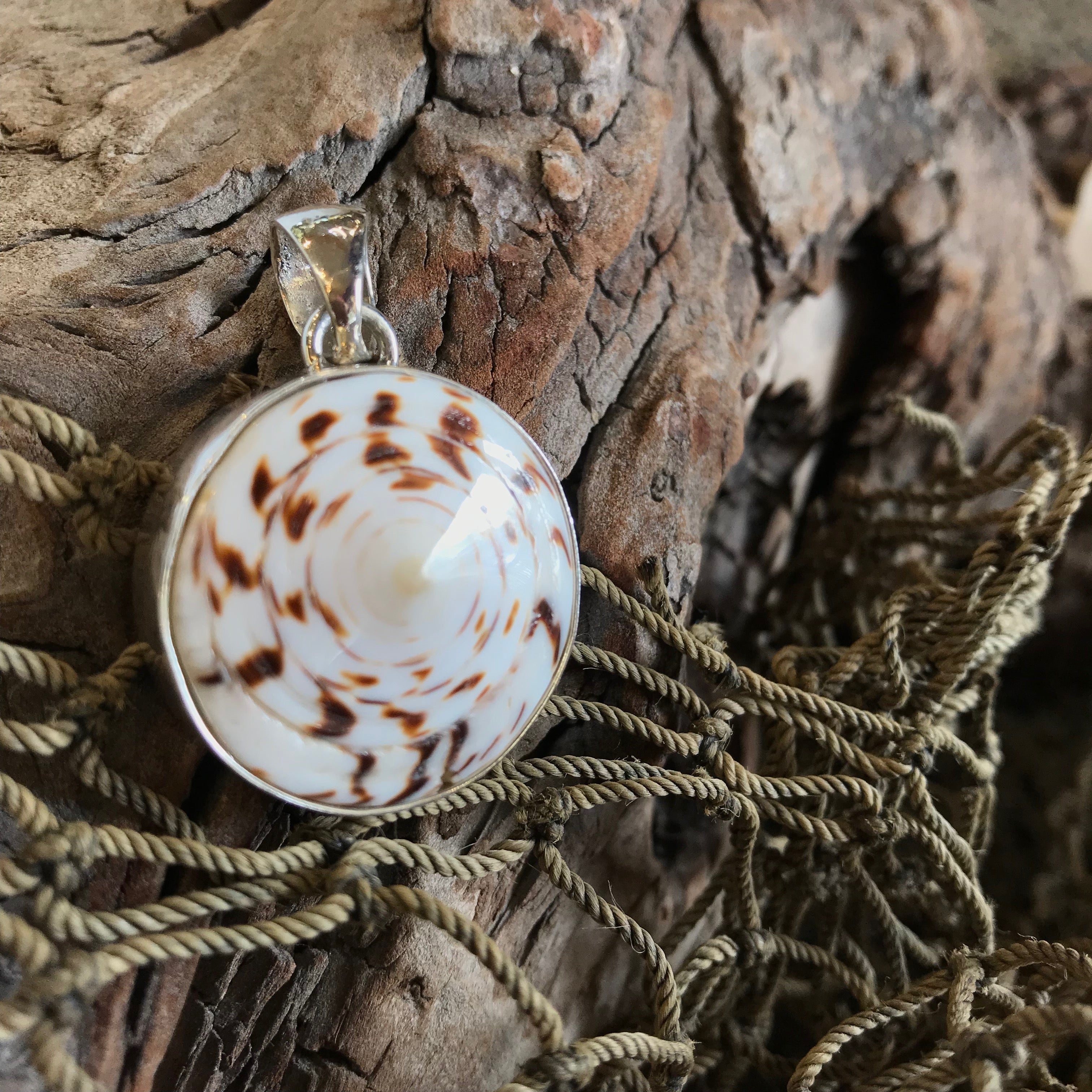 White Shell and Gold Beach Necklace Set – SosefinaBelinda