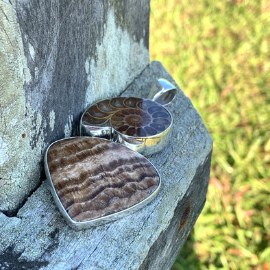 Ammonite and Argonite Seashell Pendant