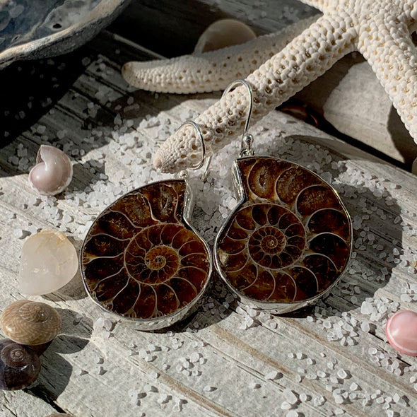 Ammonite Seashell Earrings